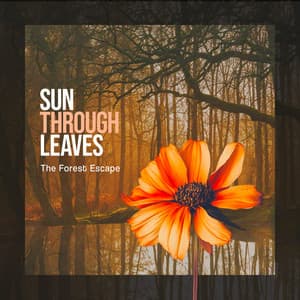Sun Through Leaves - The Forest Escape