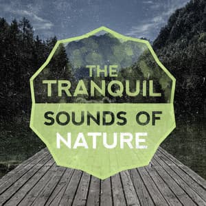 The Tranquil Sounds of Nature - The Healing Sounds of Nature