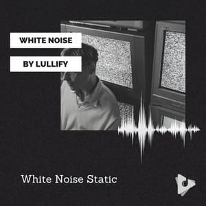 White Noise Static - White Noise by Lullify