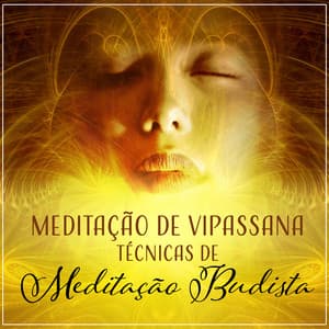 Meditação de Vipassana - Técnicas de Meditação Budista, Alcançar Outro Estado de Consciência, Maior Energia da Vida, Iluminação - Ruído Branco Academia De Música