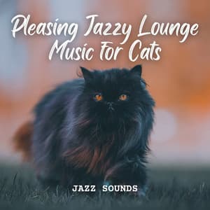Jazz Sounds: Pleasing Jazzy Lounge Music for Cats - Coffee Lounge Jazz Chill Out