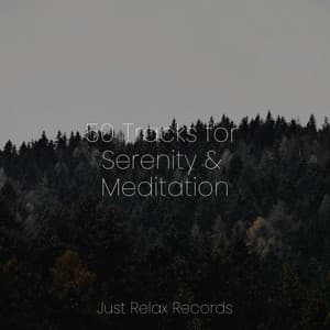 50 Tracks for Serenity & Meditation - Relajacion Del Mar