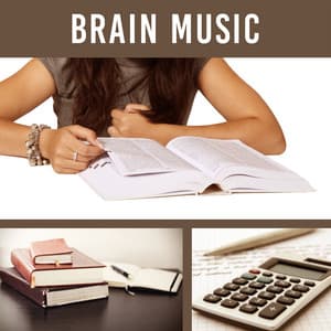 Brain Music – Music for Study, Focus and Learning, Deep Concentration, Perfect Memory on Exam - Classical Study Music Ensemble