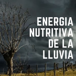 Energía Nutritiva De La Lluvia - Sonidos De Lluvia