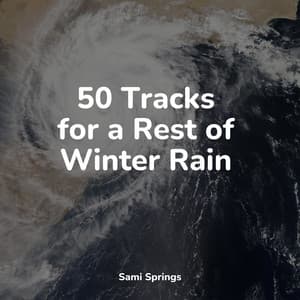 50 Tracks for a Rest of Winter Rain - Reiki Music
