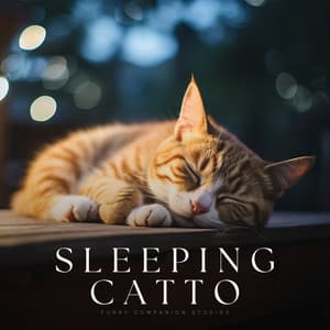 Sleeping Catto - Relaxing Cat Music