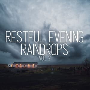 Restful Evening Raindrops Vol. 2 - Spa Music Hour