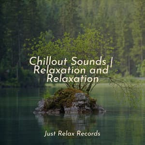 Chillout Sounds | Relaxation and Relaxation - Lounge relax