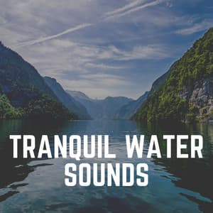 Tranquil Water Sounds - The Water Sleepers