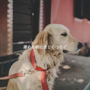 遅めの朝に犬とくつろぐ - Cooking Background Music