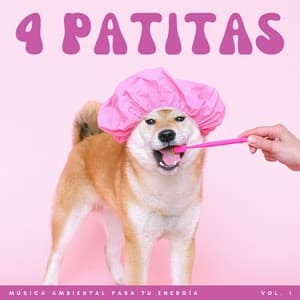 4 Patitas: Música Ambiental Para Tu Energía Vol. 1 - Estado de distracción