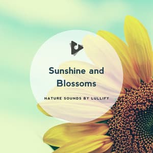 Sunshine and Blossoms - Nature Sounds by Lullify