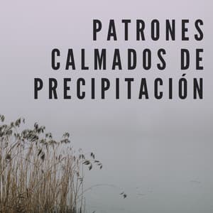 Patrones Calmados De Precipitación - Relajantes sonidos de lluvia