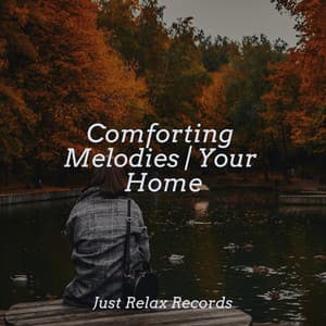 Comforting Melodies | Your Home - Chinese Relaxation and Meditation