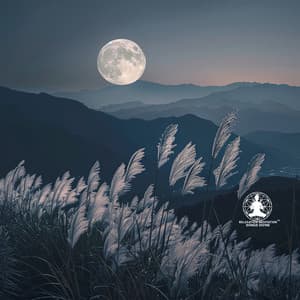 Flute Sleep Aid: Falling Asleep and Improving Sleep Quality - Relaxation Meditation Songs Divine