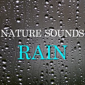 Nature Sounds Rain - Deep Sleep