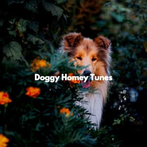 Doggy Homey Tunes - Dinner Table Jazz Dream