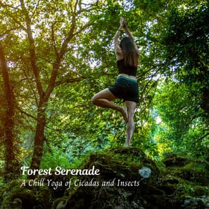Forest Serenade: A Chill Yoga of Cicadas and Insects - Mother Nature