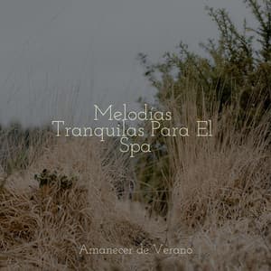 Melodías Tranquilas Para El Spa - Academia de Música con Sonidos de la Naturaleza