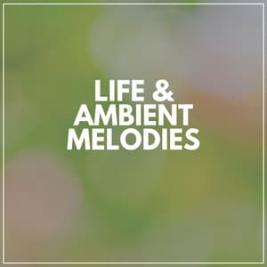 Life & Ambient Melodies - Ambient Sample Library