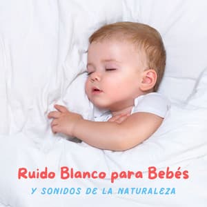 Ruido Blanco para Bebés y Sonidos de la Naturaleza - Música para Niños Prime
