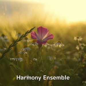 Harmony Ensemble - Soulful Symphony