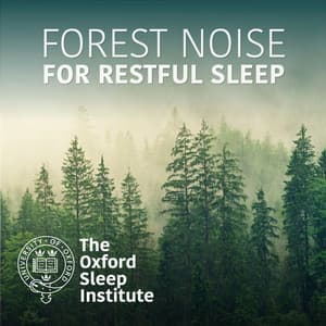Forest Noise for Restful Sleep - The Oxford Sleep Institute