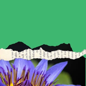 Background Music - Relaxing Days - Office Music Playlist