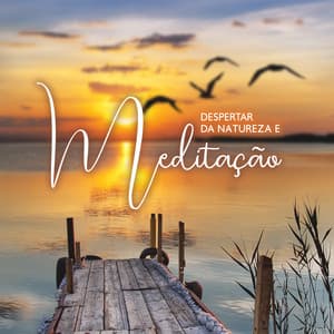 Despertar da Natureza e Meditação: Sons de Pássaros para Relaxar - Relaxantes Natureza Zona
