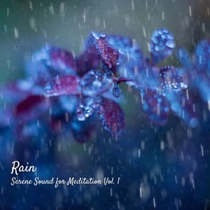 Rain: Serene Sound for Meditation Vol. 1 - Nature Music Nature Songs