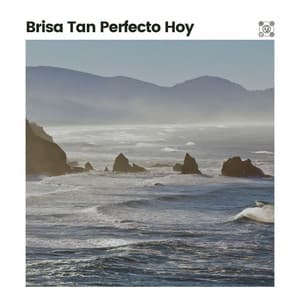 Brisa Tan Perfecto Hoy - Olas del Mar