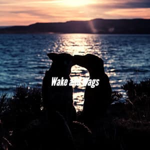 Wake and Wags - Classy Relaxing Dog Music