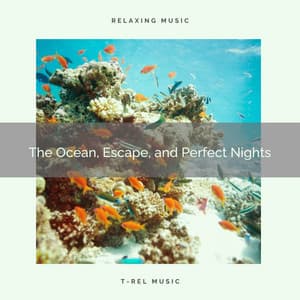 The Ocean, Escape, and Perfect Nights - Water Sound Natural White Noise