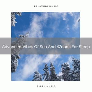 Advanced Vibes Of Sea And Woods For Sleep - Calm Sea Sounds