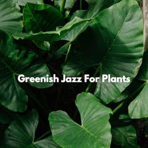Greenish Jazz For Plants - Música de Oficina
