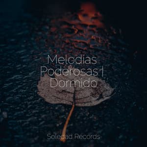 Melodías Poderosas | Dormido - Meditación Guiada
