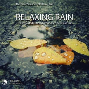 The Four Seasons Of Rain - Fall - Relaxing Rain - Healing, Meditation, Deep Sleep & Relaxation - Healing Nature Sounds