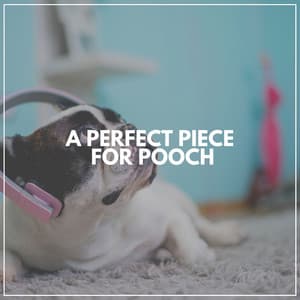 A Perfect Piece for Pooch - Calming for Dogs