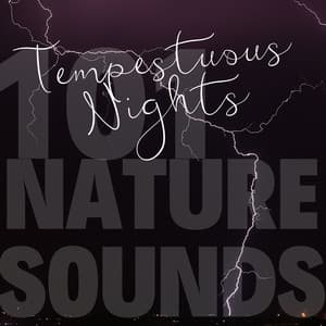 Tempestuous Nights - 101 Nature Sounds