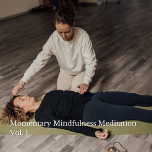 Momentary Mindfulness Meditation Vol. 1 - Sleep Meditation