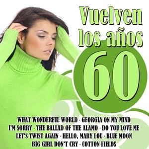 Vuelven los Años 60 - The 60's Pop Band