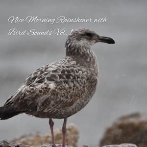 Nice Morning Rainshower with Bird Sounds Vol. 1 - Rain Hive