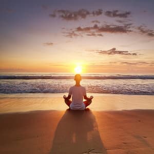 Armonías De Meditación: Melodías Para La Quietud - Hanami Zen