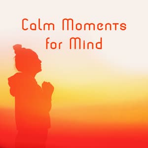 Calm Moments for Mind – Mental Detoxification, Destroy Anxiety and Stress - Calm Music Zone