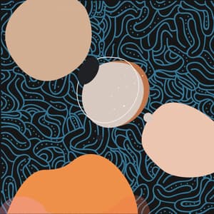 Smooth Backdrop for Loving Autumn - Relajante Jazz Bossa Nova