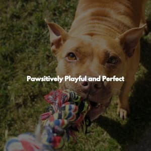 Pawsitively Playful and Perfect - Coffee + Chill