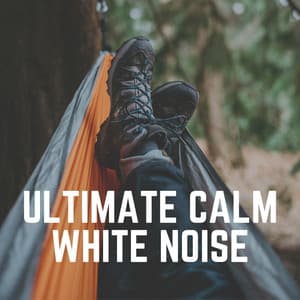 Ultimate Calm White Noise - Crying & Colic Relief