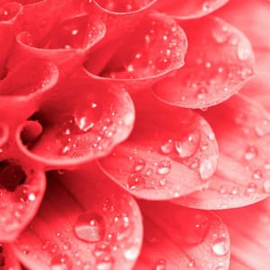 Fantastic Ambiance for Easy Summers - Jazzy VIbes for Study Time