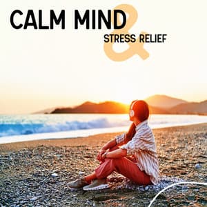 Calm Mind & Stress Relief - John Pure