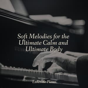 Soft Melodies for the Ultimate Calm and Ultimate Body - SD